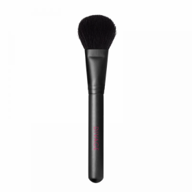 BRUSHES