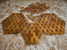 طقم كوسترات خشب